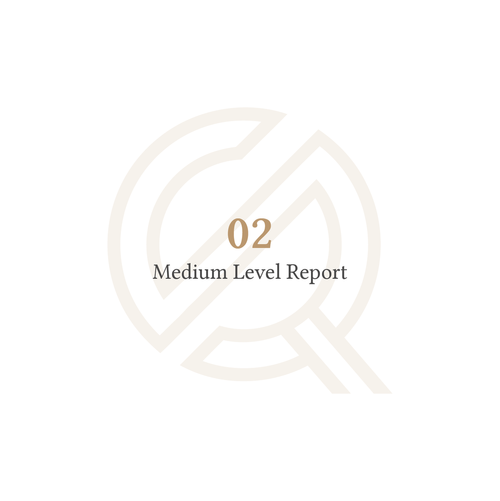 Medium Level Report